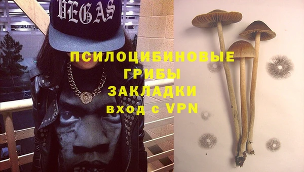 амф Белокуриха