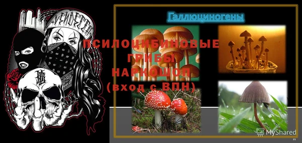 сатива Богородск