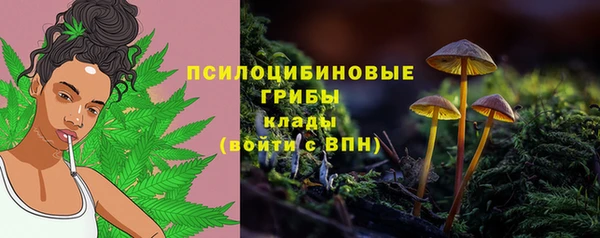 дурь Богородицк