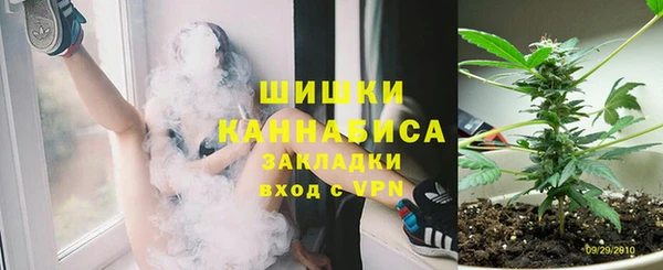 дмт Осинники
