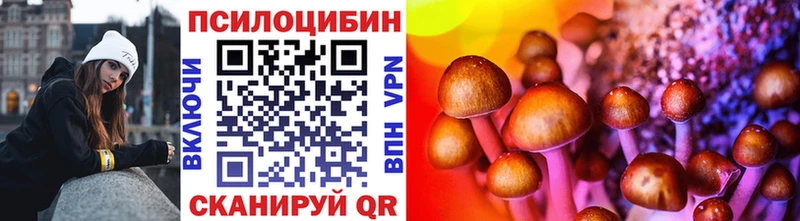 Псилоцибиновые грибы Cubensis  Купить где  Апрелевка 